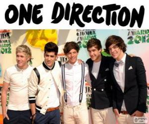 Puzzle One Direction είναι ένα boy band britanica-irlandesa